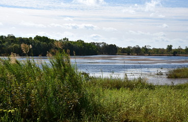 Lake Jabiru on a cloudy day in the dry season. Jabiru is the main township in Kakadu National Park. Green grass around the lake.