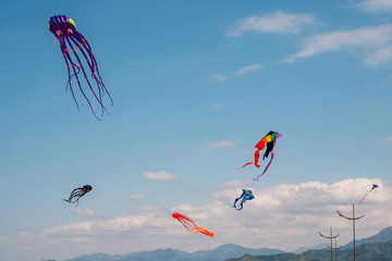 colorful kites