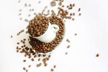 Beautiful roasted coffee beans