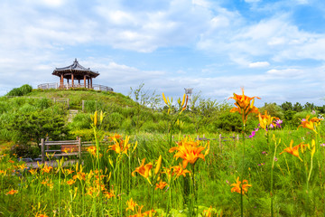 Korean beautiful culture