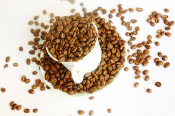 Beautiful roasted coffee beans