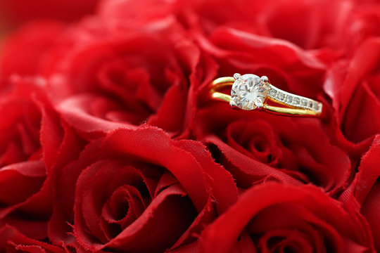 diamond ring on red rose