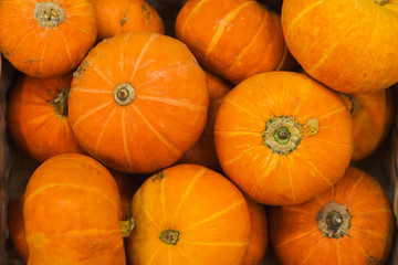 Several large bright fresh pumpkins on the counter, top view.