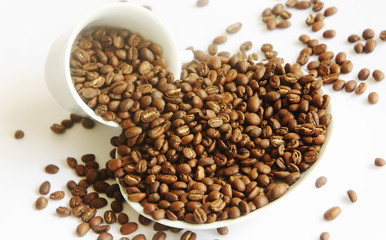 Beautiful roasted coffee beans