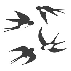 Set of silhouettes of flying swallows. Vector illustration.