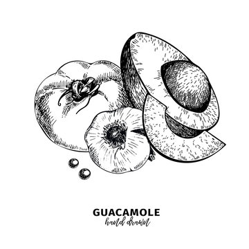 Hand drawn avocado, tomato and garlic. Guacamole dip ingredients. Vector engraved cooking icons. Mexican traditional food. Use for restaurant menu design, packaging, kitchen book illustration, flyer.