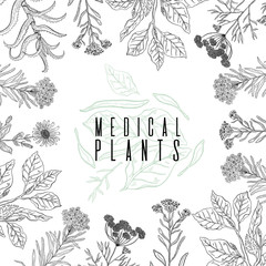 Vector background frame with drawing wild plants, herbs and flowers, monochrome botanical illustration in vintage style, natural floral template.