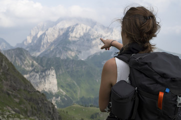 Alpine guide pointing at the summit of the mountain