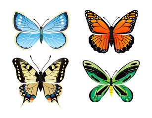 Obraz na płótnie Canvas Butterflies Kinds Collection Vector Illustration