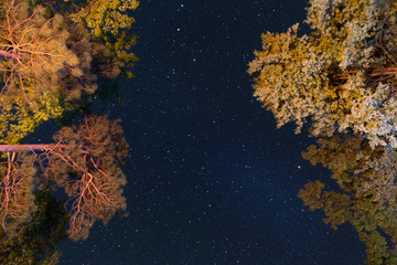 Starry night