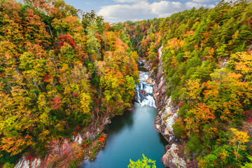 Tallulah Falls, Georgia, USA - obrazy, fototapety, plakaty