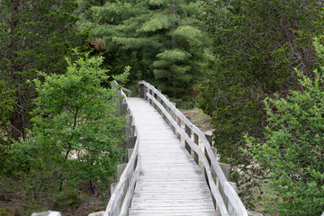 path