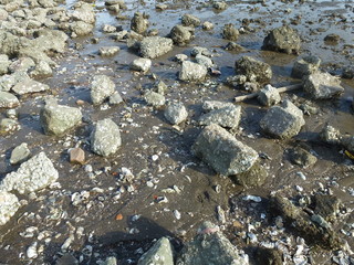 The scenery of the beach, in Xixiang, Baoan, Shenzhen