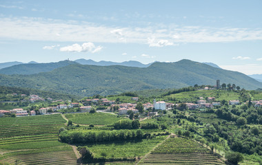 Fototapeta na wymiar vineyards landscape, Slovenia