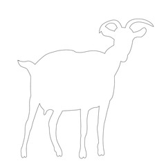 isolated goat outline