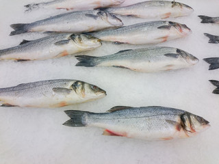 Fresh live fish on ice on open market