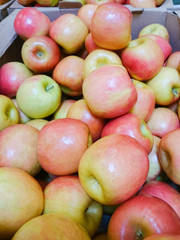 Many red apples in mall on sale closeup shot natural color image.