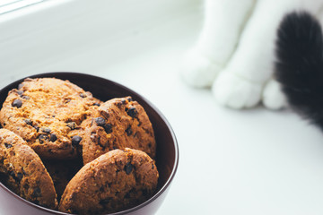 Paws of a white cat sitting next to a bowl of chocolate cookies