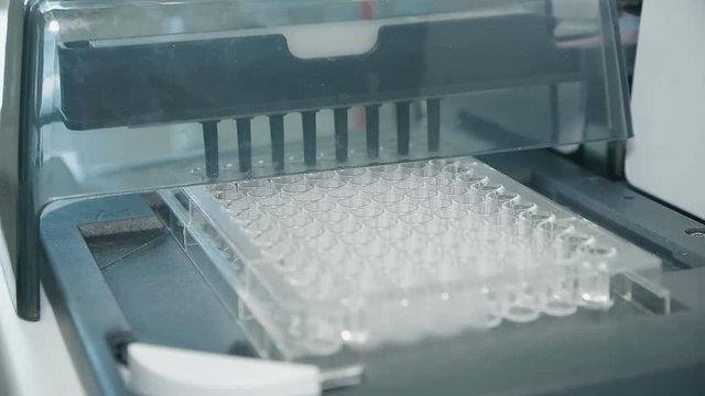 The medical device carries out the bacteriological test (close up)