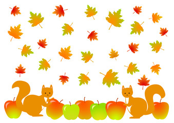 Squirrel and maple leaves and apples