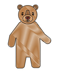 brown grizzly bear standing animal