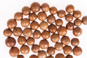 Macadamia nuts or Australian walnuts on white background