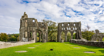 Abbey Ruins