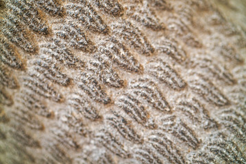 historical artifacts stone pattern texture background, old stone
