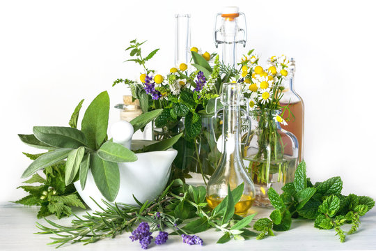 Heilpflanzen und Heilkräuter, ätherische Öle, Mörser und Fläschchen auf weißem Holz, grüne Medizin, Alternativmedizin