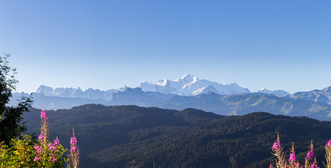 vue panoramique sur le Mont Blanc depuis Les Gets en Haute Savoie - France - obrazy, fototapety, plakaty