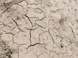 Cracked earth. Texture. Ecology.