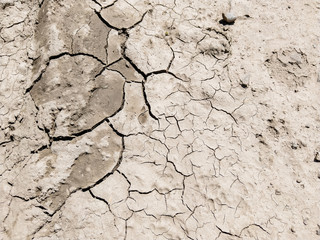 Cracked earth. Texture. Ecology