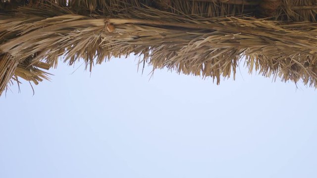 Thatch roof for background -dried straw or cane