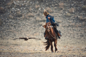 Falconry In Western Mongolia,Golden Eagle Festival.Artistic Scene From The Life Of The Nomadic Peoples Of Asia: Rider On Brown Horse And And The Flying Golden Eagle. Mongolian Nomad On Horseback