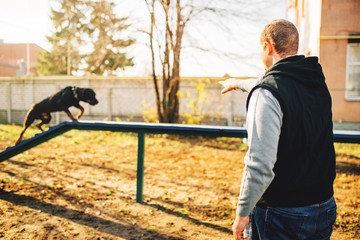 Cynologist trains a dog to keep balance 