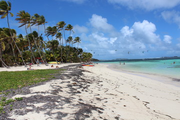 Anse Michel Martinique