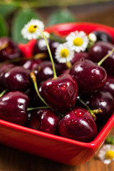 Cherries Background. Sweet Black and Red Cherries. Selective focus.