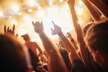 Portrait of happy crowd enjoying at music festival