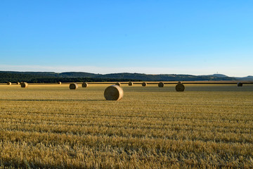 Nach der Arbeit auf dem Feld