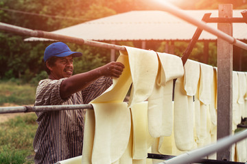 Farmers are drying rubber sheet.