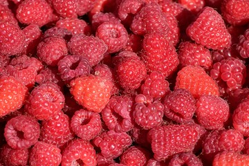 frisch gepflückte Himbeeren