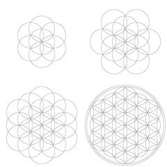 Set of geometrical elements and shapes. Sacred Geometry Flower of Life development. Vector designs