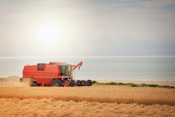 Obraz premium moissonneuse batteuse en 