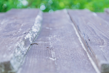 Fototapeta premium wooden table perspective background, selective focus