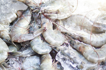 The shrimp in the fresh market.
