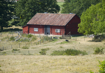 Obraz premium Old swedish timber house at Adelsö church in Ekerö, Stockholm