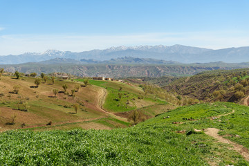 Fototapeta na wymiar Nature landscape in Lorestan Province. Iran
