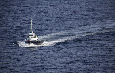Tug boat, white and black, sailing by the sea 