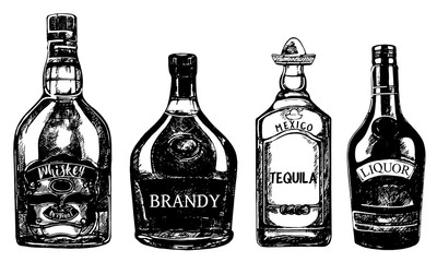 Fototapeta na wymiar Set of hand drawn sketch style bottles of alcohol isolated on white background. Vector illustration.