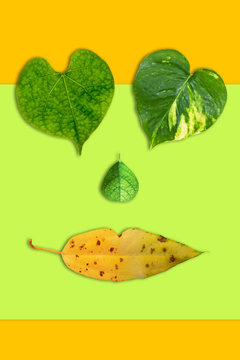 Creative heart shape leaves on colorful background. Minimal art design.
